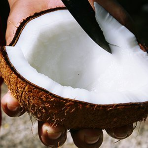 ココナッツの果肉のとり方 Polynesian Cultural Center